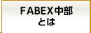 FABEX中部とは